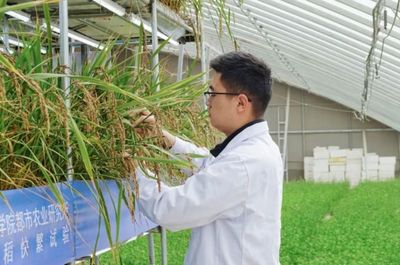 國際首次試驗成功，核心技術源自天府新區科技推廣與應用服務